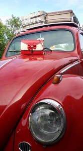 11229285_10153167241963978_2368860337239537190_n