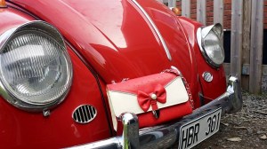 11828584_10153167242063978_1871102087697785527_n