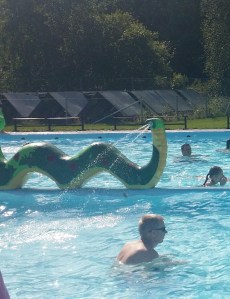 20150731_141226-2_resized